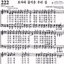 숙현농장 Daum카페