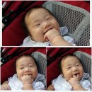 세성