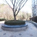 시범다은공인중개사사무소 이미지