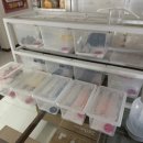 햄스터 분양 햄스터월드 이미지