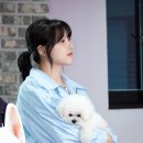 상전 이미지