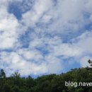 송축농장 네이버블로그