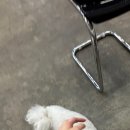 구월팔일 이미지