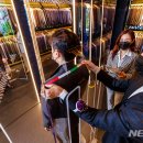 언택트세이프? 이미지