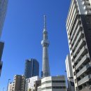 세계로마트 뒷길 | [🇯🇵-Tokyo] Tokyo just hit me like a wave