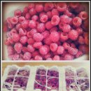 대동농장 이미지