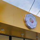 코코앤망고 이미지