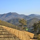 속리산알프스야영장 이미지