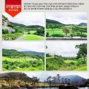 파인비치B 이미지