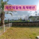 애월애휴양펜션 | 제주도 애월 펜션 숙소 게하 제주애월애 독채펜션 조용한 휴식처로 추천