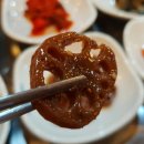 짱어한마리 이미지