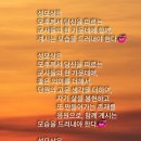 모후품안 이미지