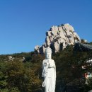 용신40 이미지
