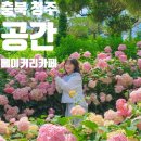 목련로 | 충북 청주 [ 베이커리카페 공간 ] 수국 축제 내돈내산 카페 방문후기 6.29. 방문