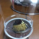 씨유(CU)노변청구점 이미지