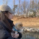 굴포공원 이미지