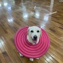 신촌검도관 이미지