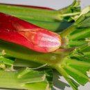 (주)올로 이미지