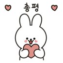 쭈미꾸미 - 기장군 | 쭈미꾸미