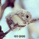 달동네포차 네이버블로그