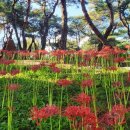 삼성현역사문화공원 이미지