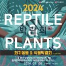 레오마켓 이미지