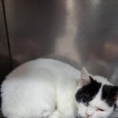 고속도로졸음쉼터 이미지