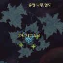 신석장군