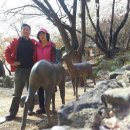 용필농장 이미지