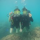 마린수중 | 내돈내산 나트랑 호핑투어 마린 스노쿨링 체험다이빙 수중촬영 솔직한 후기, 재방문의사, 꿀팁