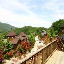 숲속의평창 이미지