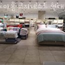 코지네스트현대 이미지