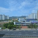 유가읍 행정복지센터 앞 네이버블로그