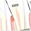 행운치과의원 이미지