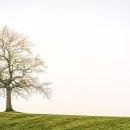 국민권익 해밀 행정사 사무소 이미지