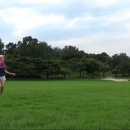 7월 30일 올림픽공원, 부메랑동영상, 88잔디마당, 부메랑시범동영상 , 핑크별 님 이미지
