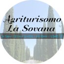 Car Auto service | 로마 테르미니에서 허츠 픽업 / 아그리투리스모 라 소바나(La Sovana)에서 힐링을 / 신혼여행 ③