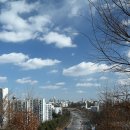 양천농장 이미지