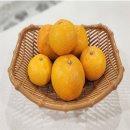 싸리하우스 이미지