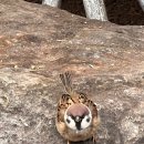 델루버 이미지