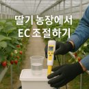 광은농장 | 🍓EC 시기별 조절 관리
