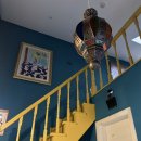 스테이선자우 이미지