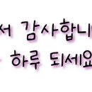 지영미트 이미지
