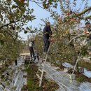 주택관리공단 이미지