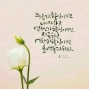 최종점수. 물이보약.신은있다.녹명.모정의세월 이미지