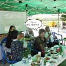 도찬2 이미지