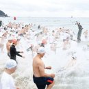 Polar Bear Festival, Experience the hot sea even in winter 이미지