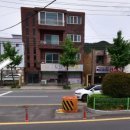 프린세스 캣 이미지