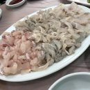 부산기구 이미지