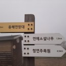 삼양여행사 이미지